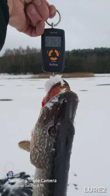 Pike — Tsnyanskoye, Jan 06, 2022