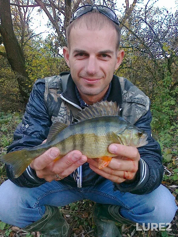 Perch — Zakarpatska oblast, Oct 19, 2013, 5:16 PM