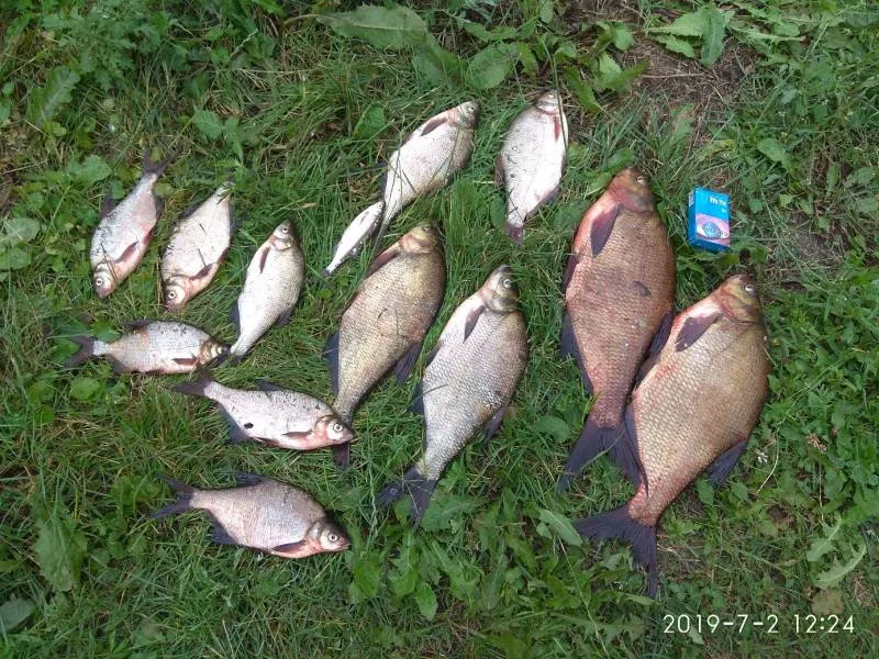 Лещ