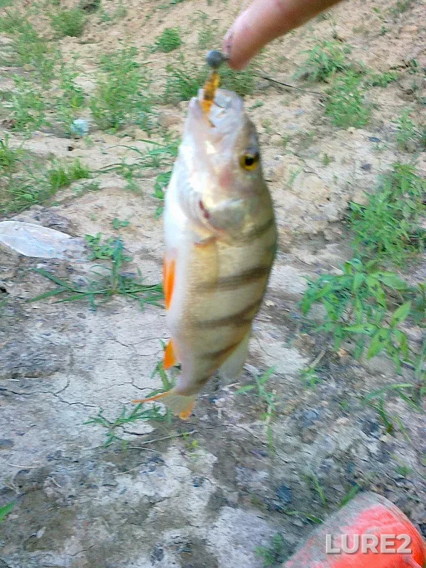 Pike, Zander — Pella, Jun 22, 2020
