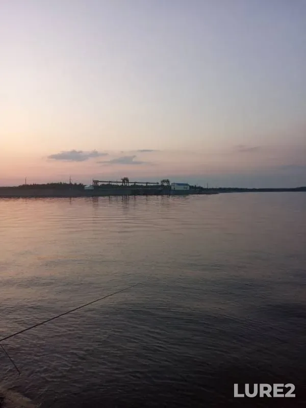 Perch — Yenisey, Feb 05, 2020