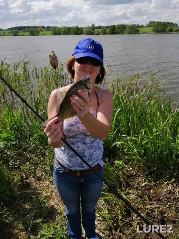 Crucian carp — Logozinskoye, Jun 28, 2020