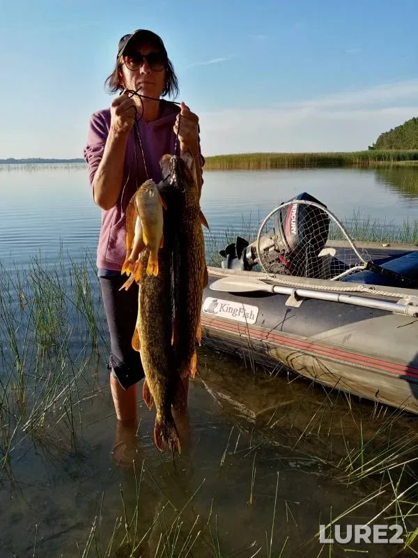 Perch, Pike — Naroch, Jul 21, 2020