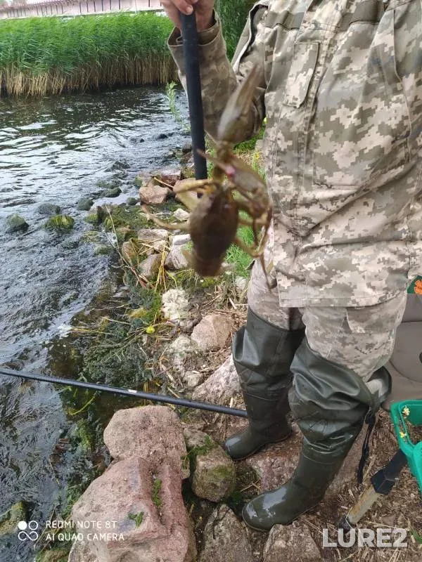 Bream, Roach — Sukhodolskoye, May 28, 2019