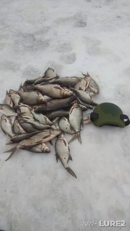 Bream — Lukovskoye, Jan 25, 2022