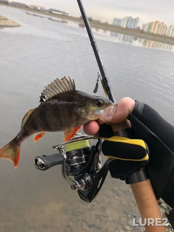 Pike — Ob, Oct 11, 2020