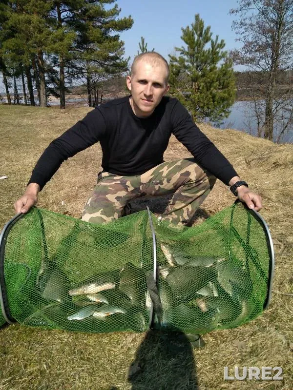 Perch — Novosibirskaya oblast, Mar 09, 2009