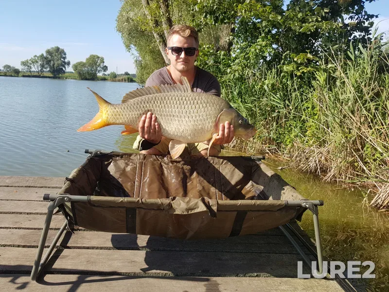 Carp — Kiїvska oblast, Aug 02, 2018, 9:23 AM