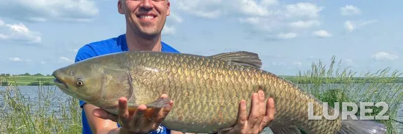 Pike — Tsentritsa, Jan 02, 2022