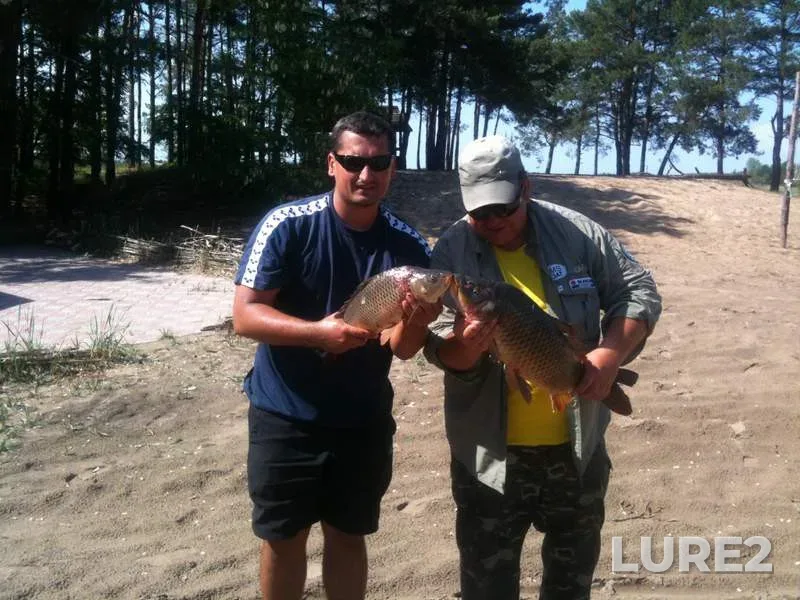 Carp — Kiїvska oblast, May 18, 2013