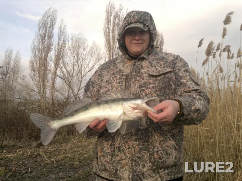 Zander — Sukhaya Karaseyevka, Jan 06, 2012, 10:26 AM