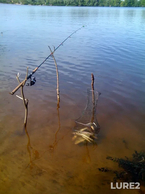 Bream — Dnepr, Jun 27, 2010