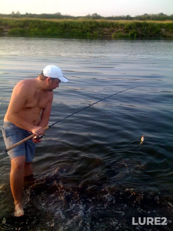 Bream, Perch — Zaslavskoye, Dec 30, 2021