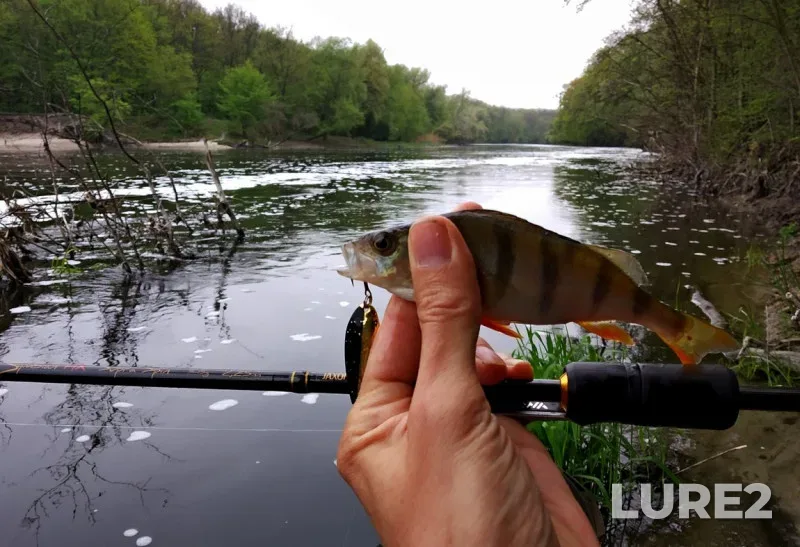 Perch — Severskiy Donets, May 01, 2019, 1:21 PM