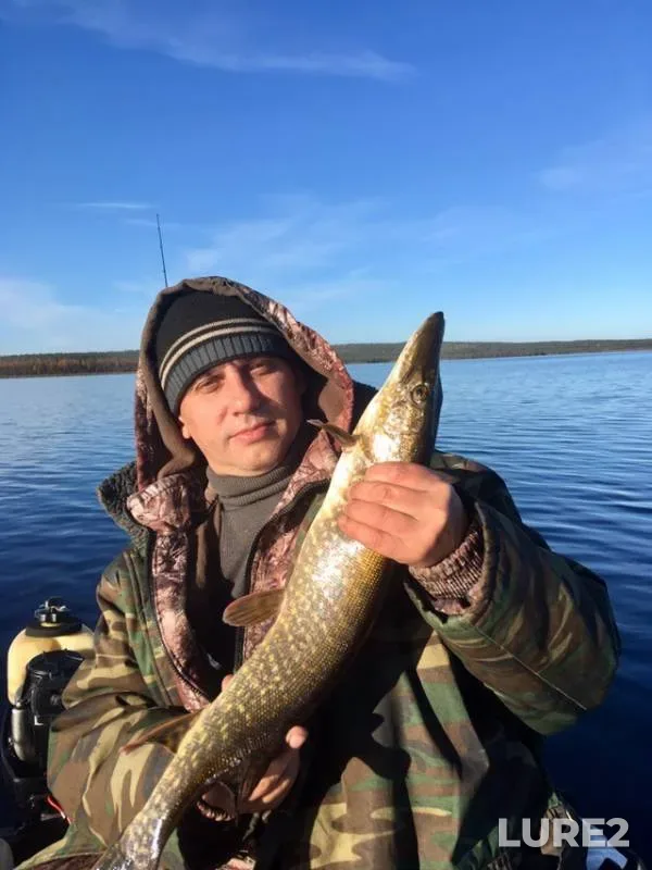 Pike — Ingozero, Oct 04, 2018