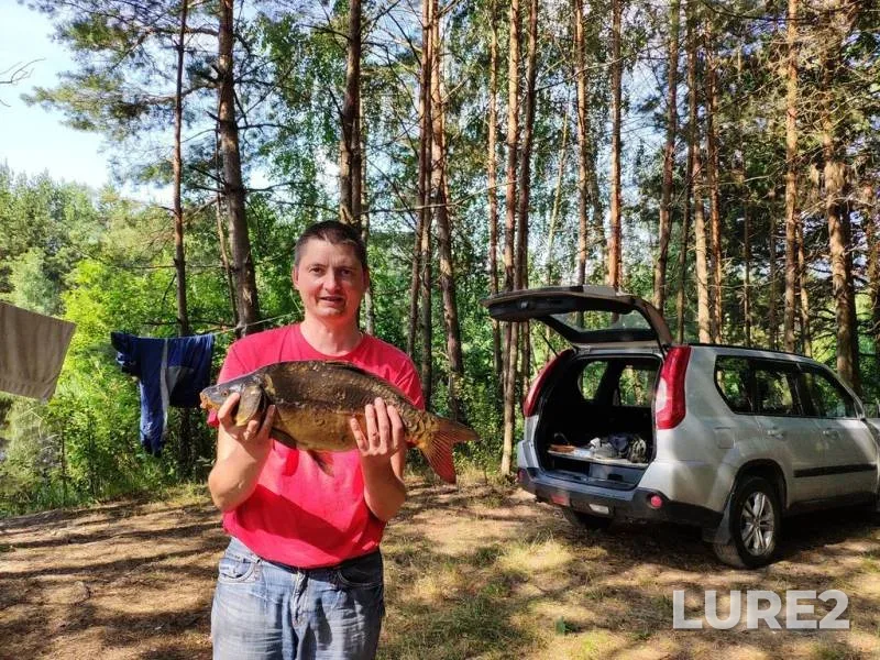 Crucian carp — Guyka, May 25, 2021