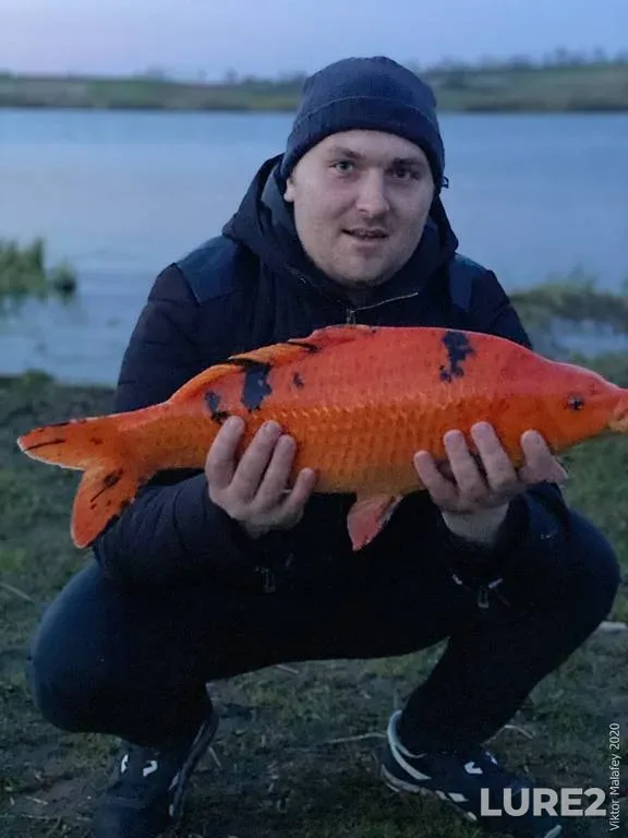 Pike — Korgovitsa, Jun 21, 2019