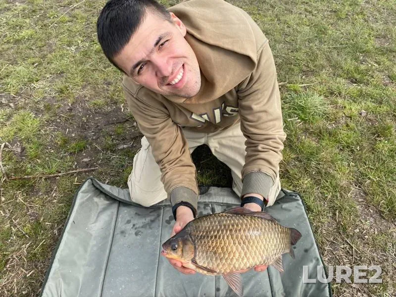 Crucian carp — Lvіvska oblast, Apr 17, 2020, 12:20 PM