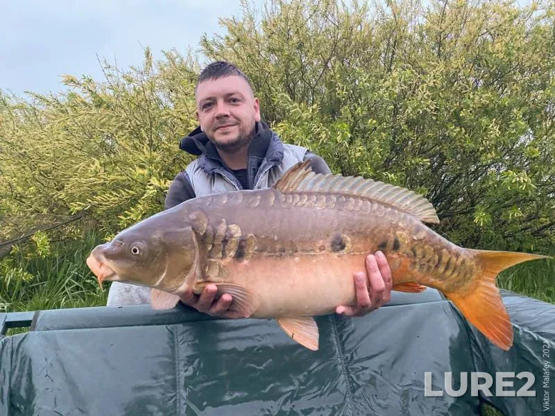 Carp — Lvіvska oblast, May 15, 2021, 5:53 AM
