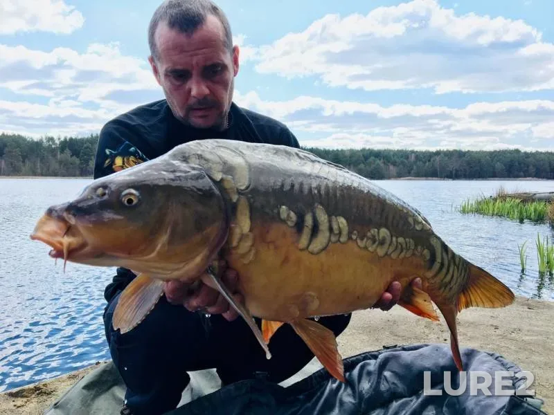 Crucian carp — Brestskaya oblast, Baranovichskiy rayon, Apr 23, 2022