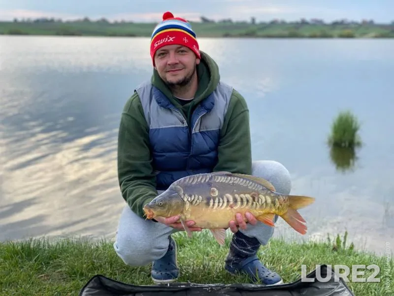 Carp — Lvіvska oblast, May 03, 2020, 7:54 AM