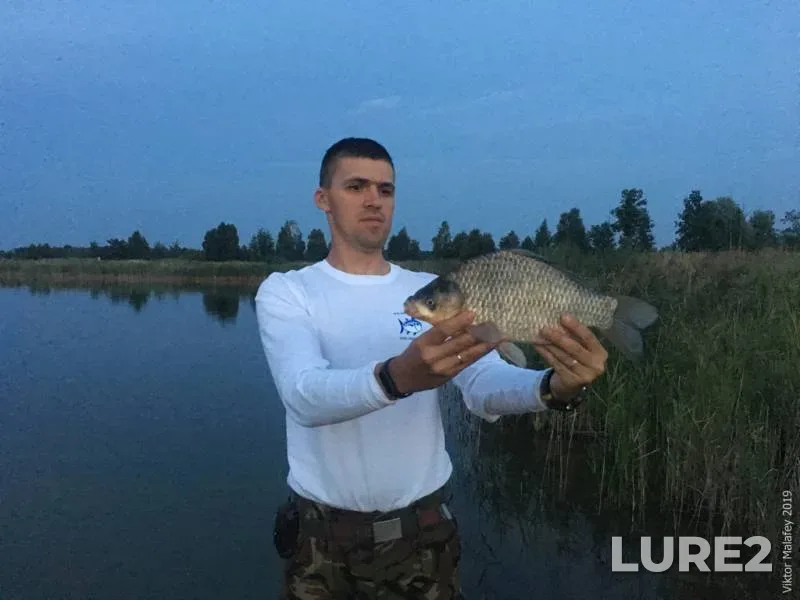 Crucian carp — Volinska oblast, Jul 27, 2019, 9:45 PM