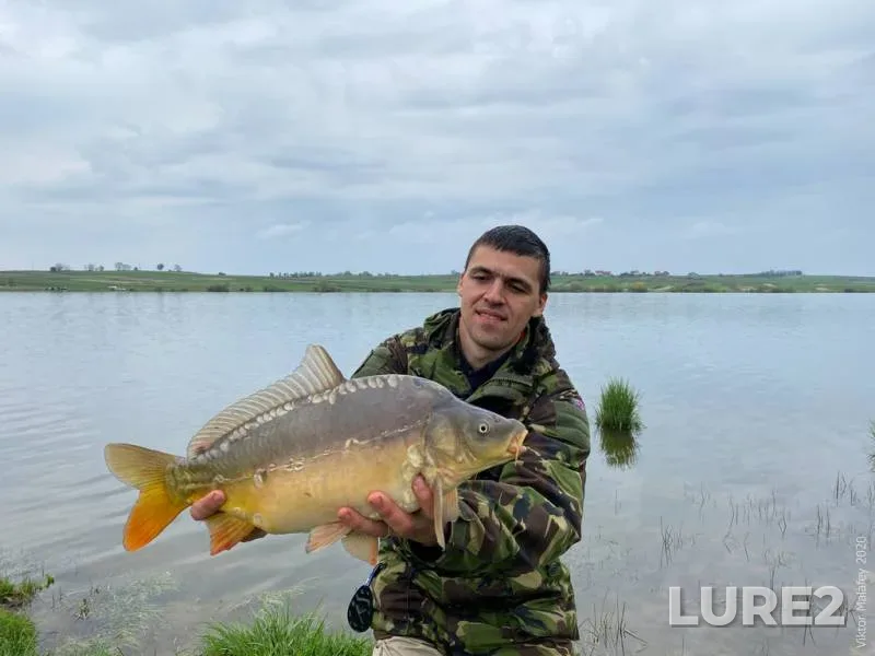 Bream, Perch — Berezina, Aug 15, 2023