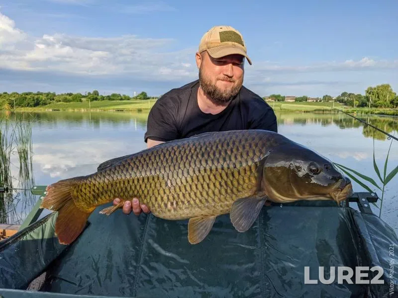 Crucian carp — Drozdy, Oct 03, 2023