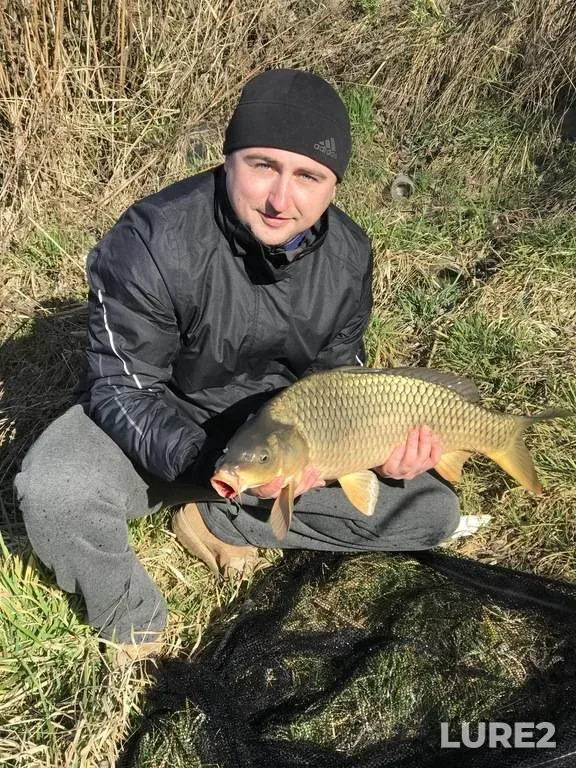 Carp — Rіvnenska oblast, Apr 05, 2020, 4:39 PM