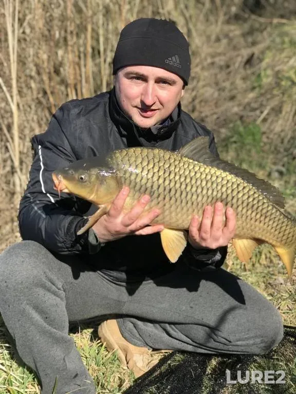 Carp — Rіvnenska oblast, Apr 05, 2020, 4:40 PM