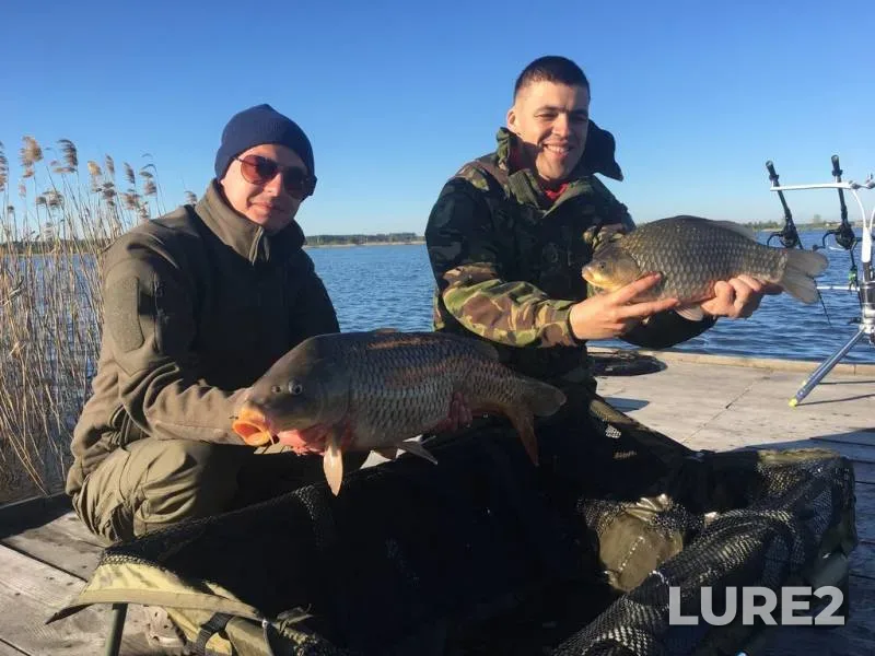 Crucian carp, Grass carp — Volinska oblast, Apr 22, 2018