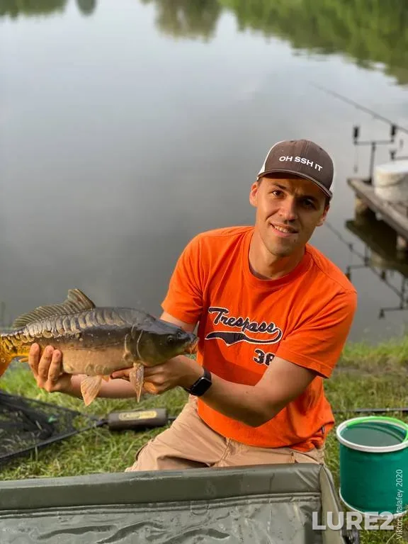 Carp — Zhitomirska oblast, Jun 23, 2020, 7:58 PM
