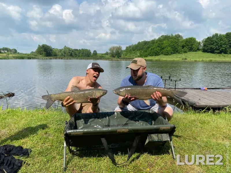 Bream, Roach — Viliya, Apr 11, 2022