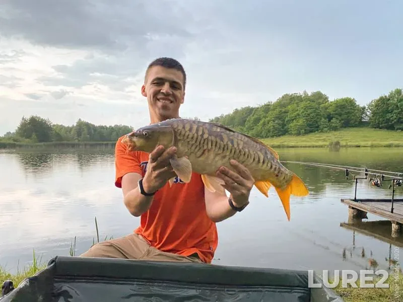 Carp — Zhitomirska oblast, Jun 23, 2020, 9:23 PM