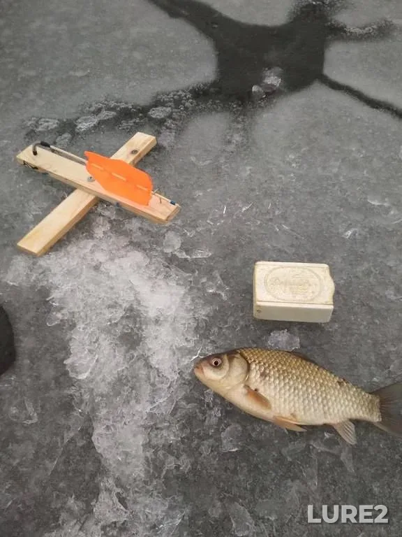 Bream, Roach — Soligorskoye, May 04, 2022