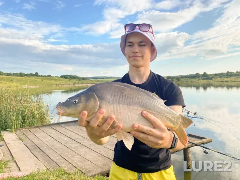 Carp — Rіvnenska oblast, Jun 25, 2023, 7:05 PM