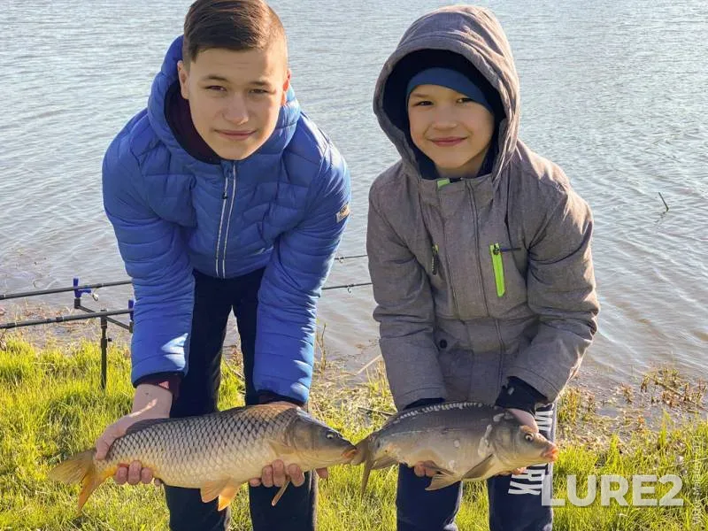 Carp — Rіvnenska oblast, May 05, 2021
