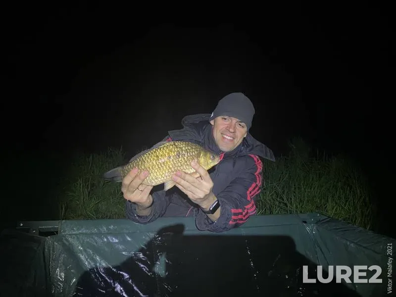 Crucian carp — Lvіvska oblast, May 14, 2021, 10:13 PM