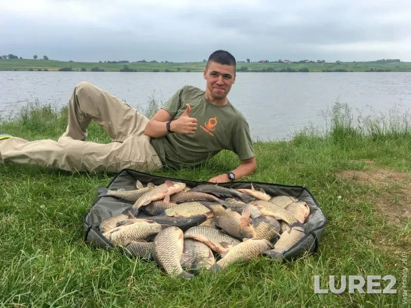 Crucian carp — Lvіvska oblast, Jun 09, 2019