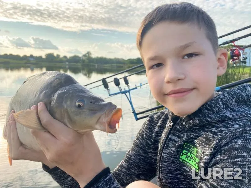 Carp — Rіvnenska oblast, Jun 25, 2023, 7:19 PM