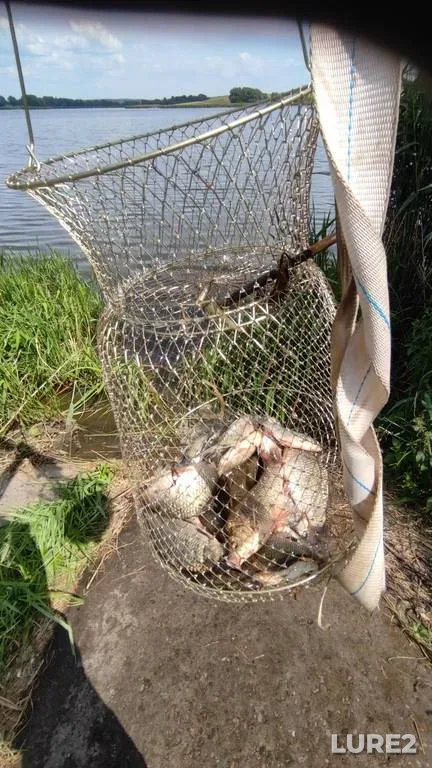 Crucian carp — Zhabichi, Jun 21, 2021