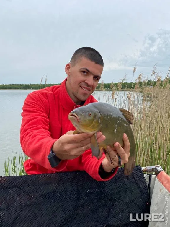 Tench — Volinska oblast, May 24, 2020, 8:35 AM