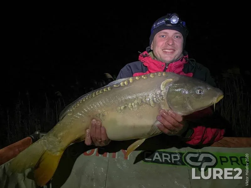 Carp — Volinska oblast, May 22, 2020, 11:23 PM