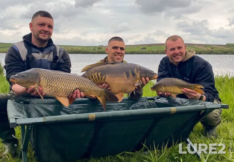Carp, Grass carp — Lvіvska oblast, May 15, 2021