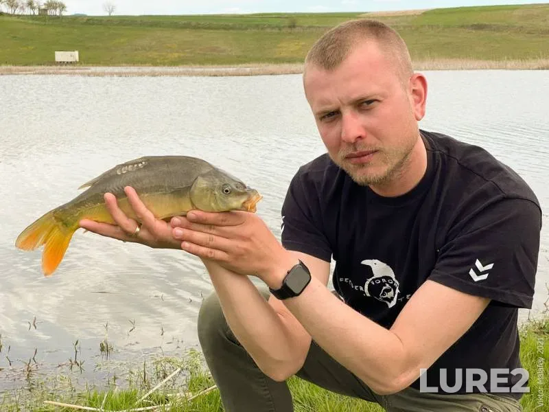 Carp — Rіvnenska oblast, May 05, 2021, 2:02 PM