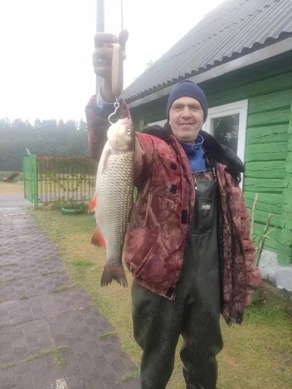 Голавль