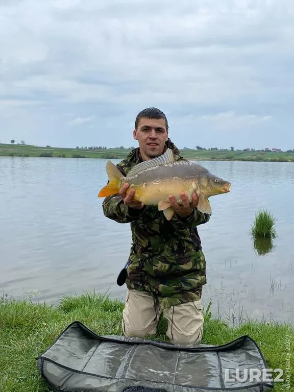 Bream, Perch — Vileyskoye, Jan 14, 2024
