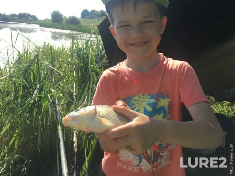 Crucian carp — Rіvnenska oblast, Jun 15, 2019, 9:10 AM