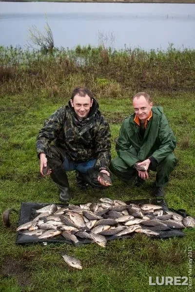 Crucian carp — Lvіvska oblast, Apr 28, 2013