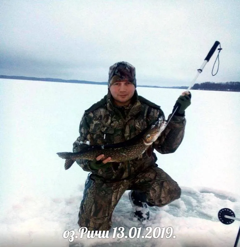 Щука